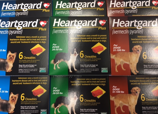 Burke Forest Veterinary Clinic - Springfield, VA - Heartgard Burke Forest Veterinary Clinic - Springfield, VA - Heartgard