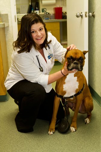 Burke Forest Veterinary Clinic - Springfield, VA - Our loving owner, Dr. Bowles! Burke Forest Veterinary Clinic - Springfield, VA - Our loving owner, Dr. Bowles!