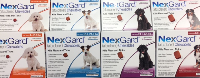 Burke Forest Veterinary Clinic - Springfield, VA - Nexgard Burke Forest Veterinary Clinic - Springfield, VA - Nexgard