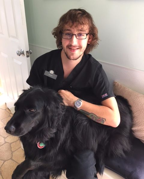 Burke Forest Veterinary Clinic - Springfield, VA - Our assistant Xanny! Burke Forest Veterinary Clinic - Springfield, VA - Our assistant Xanny!