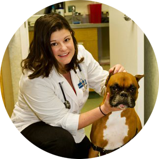 Burke Forest Veterinary Clinic - Springfield, VA - Our loving owner, Dr. Bowles!